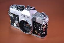 【リメイクカメラ】Canon FTb QL【モルト交換済】