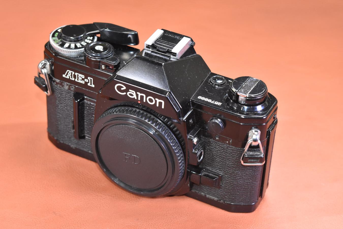Canon AE-1 Black モルト交換済 【シャッター鳴きなし】
